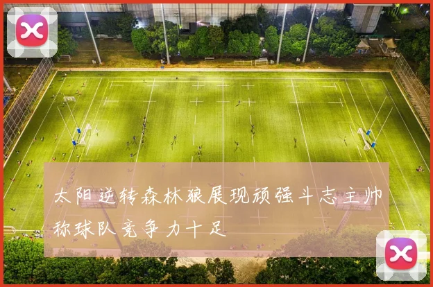 太阳逆转森林狼展现顽强斗志主帅称球队竞争力十足