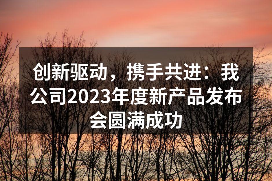 新产品发布会现场热烈氛围